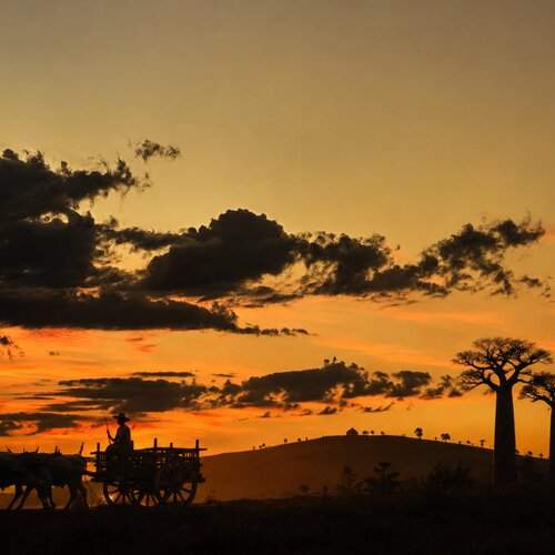 Twilight over the Red Earth or Time Suspended