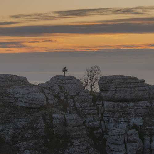 Photo #13727403
