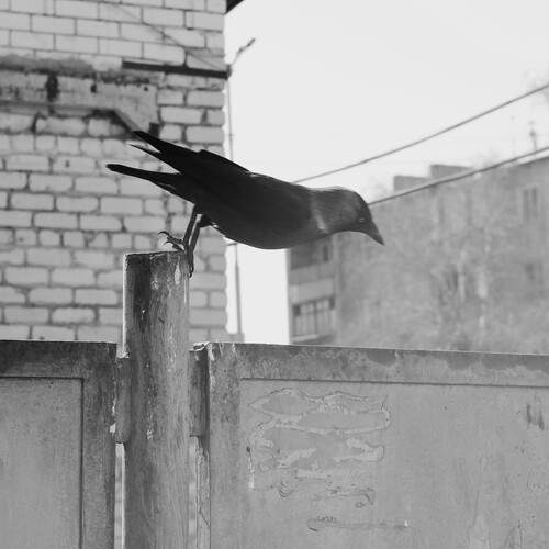 Photo #13727419