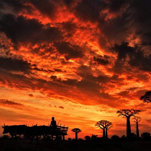 Return Under a Fiery Sky