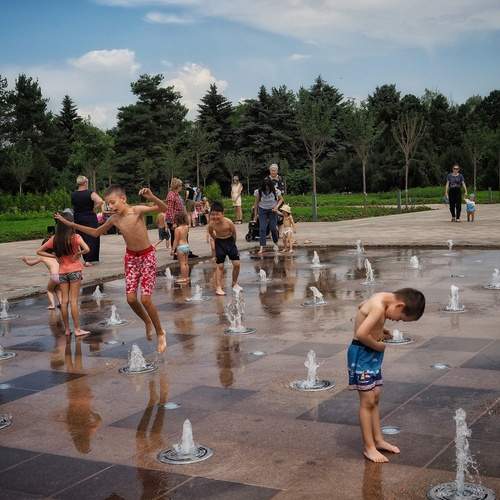 Photo #13727516