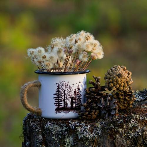 Photo #13727537