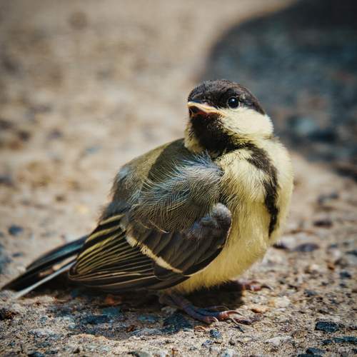 Photo #13727614