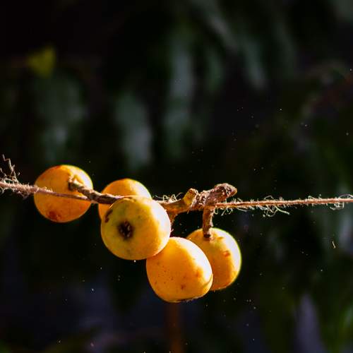Photo #13727623