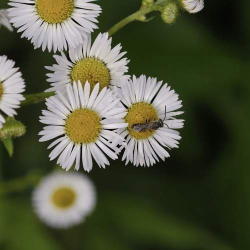 Photo #13727639