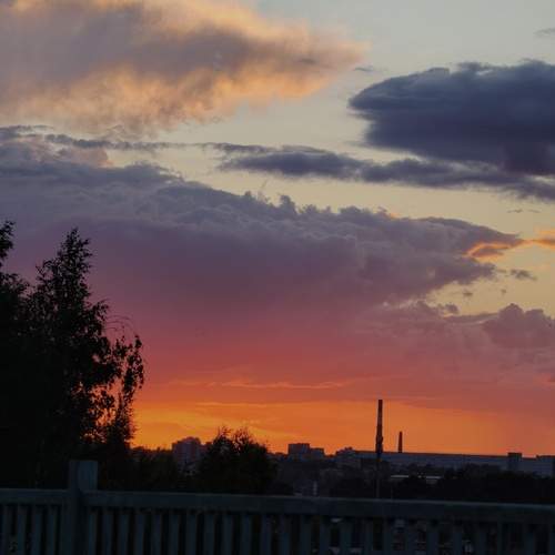 Photo #13727640