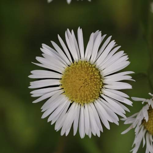 Photo #13727643