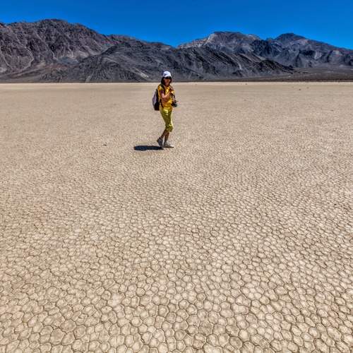 Photo #13727656