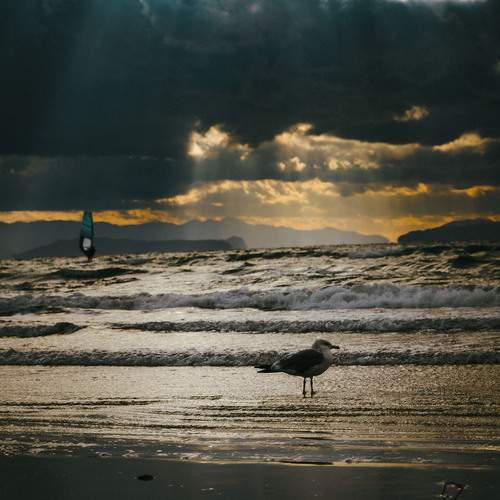 Photo #13727659