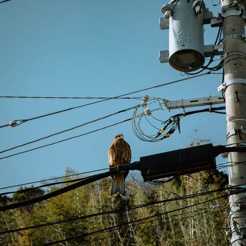Photo #13727660