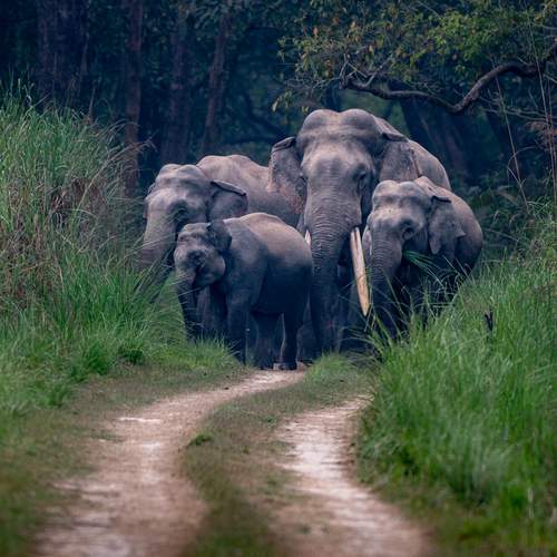 Photo #13727686