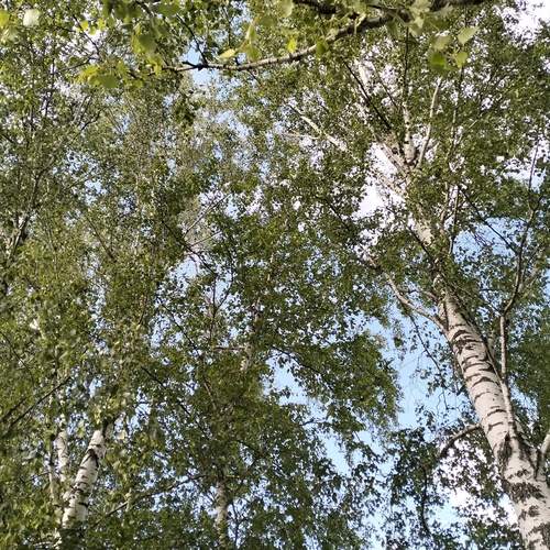 Photo #13727718