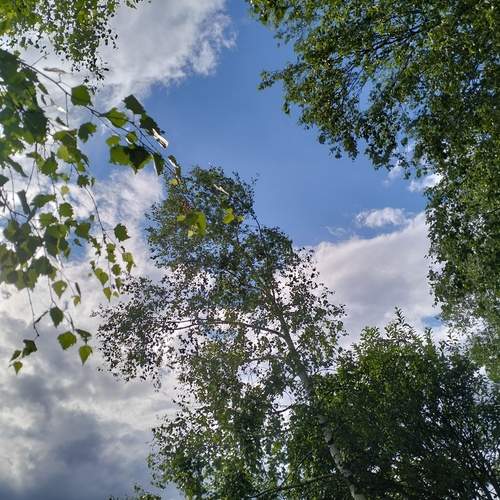 Photo #13727719