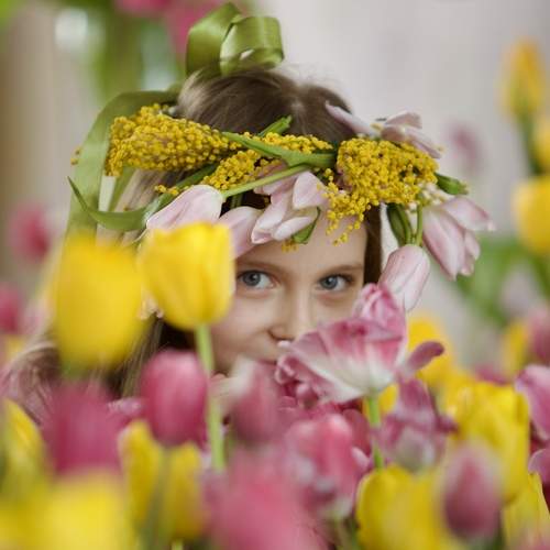 Photo #13727729