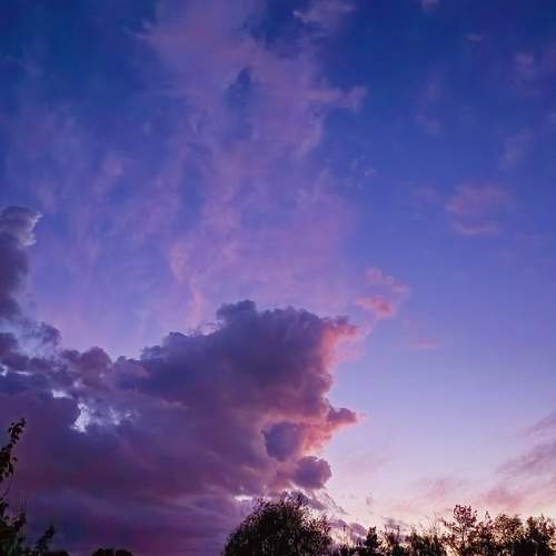 Photo #13727746