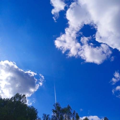 Photo #13727747
