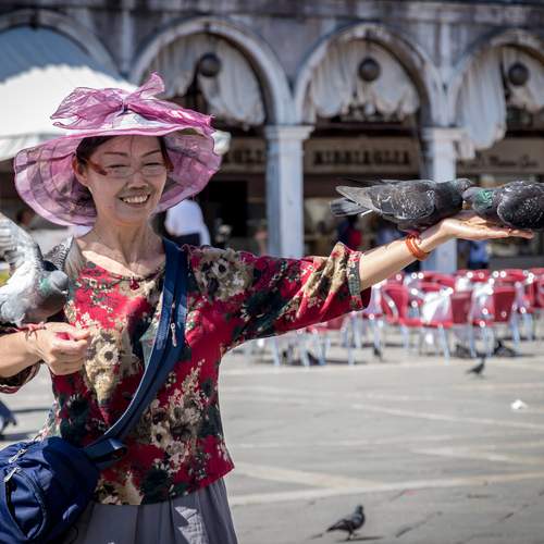 Photo #13727814