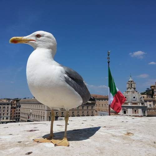 Photo #13727819