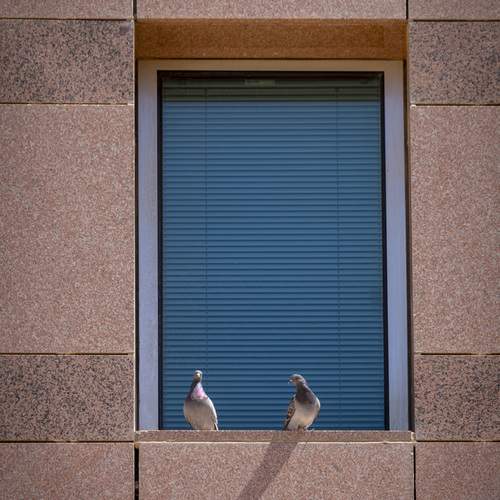Photo #13727823
