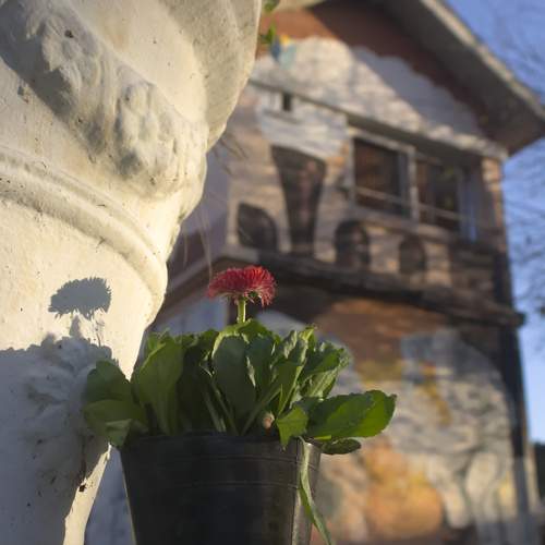 Photo #13727939