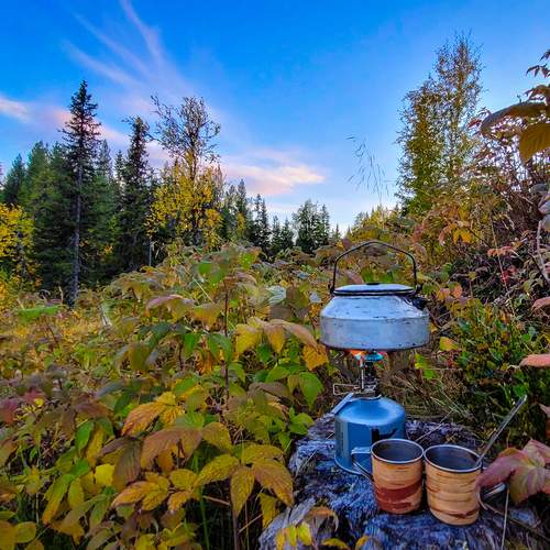 Photo #13727952