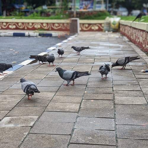 Photo #13727958