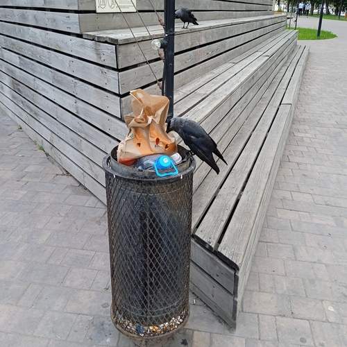 Photo #13728021