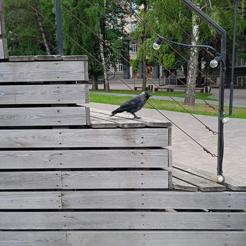 Photo #13728044