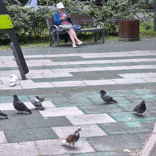 Photo #13728046