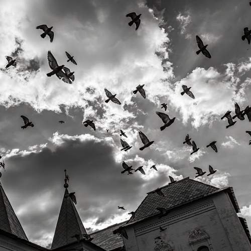Photo #13728058