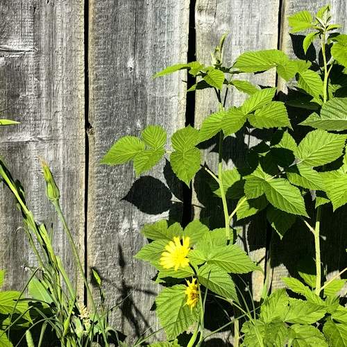 Photo #13728102