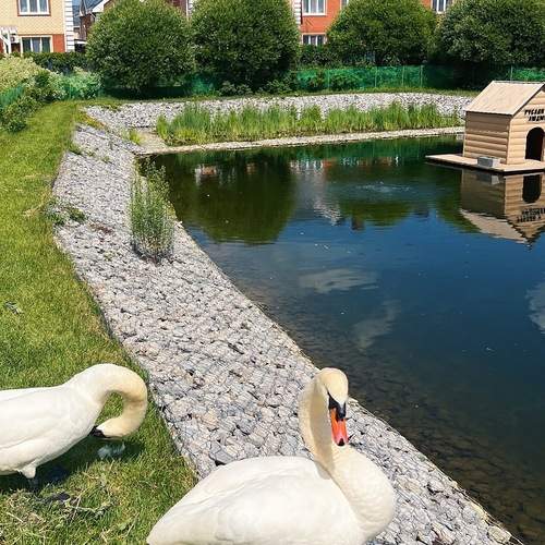 Photo #13728120