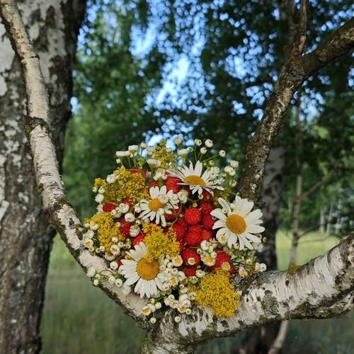Photo #13728123