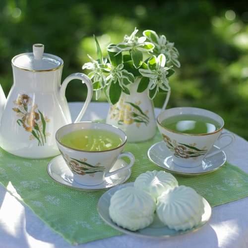 Photo #13728196