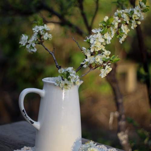 Photo #13728198