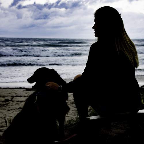 Photo #13728213