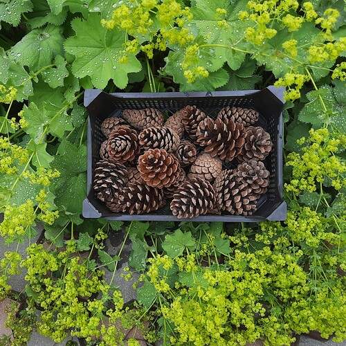 Photo #13728246