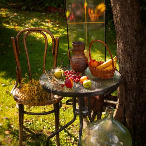 Photo #13728307