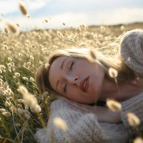 Photo #13728326
