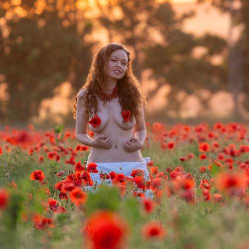 Photo #13728330