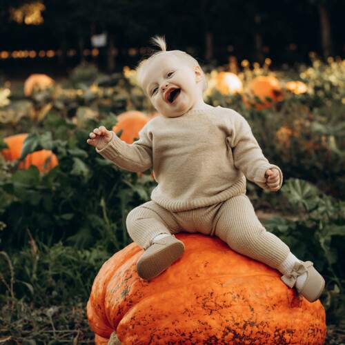 Photo #13728332