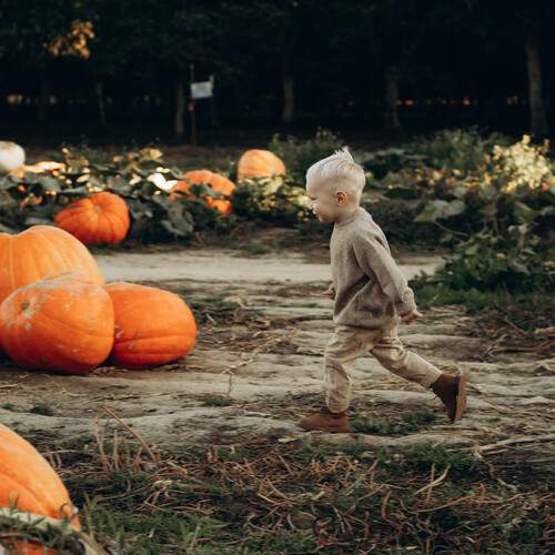 Photo #13728333