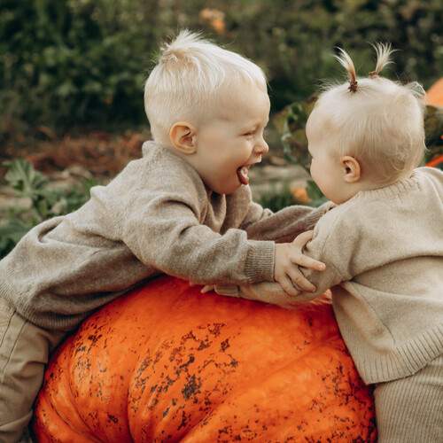 Photo #13728334