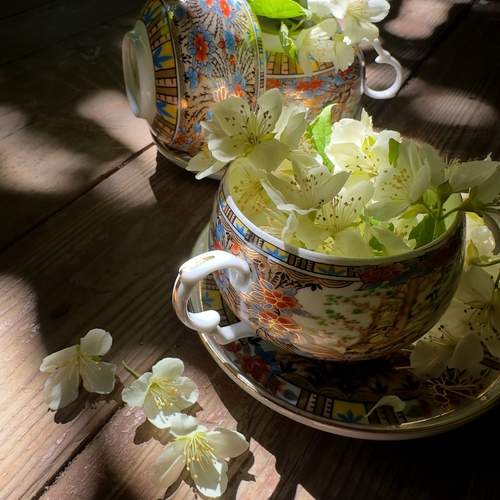 Photo #13728402