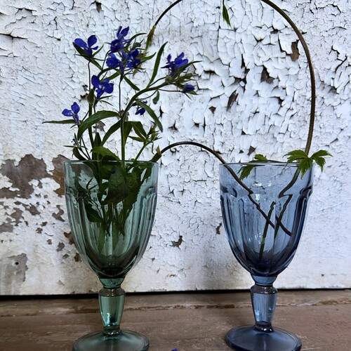 Photo #13728404
