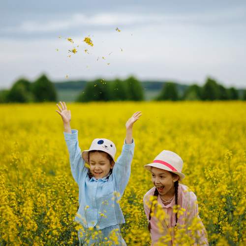 Photo #13728407