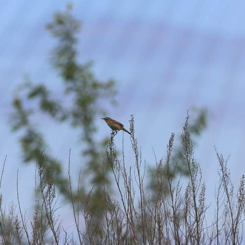 Photo #13728421