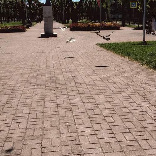 Photo #13728449