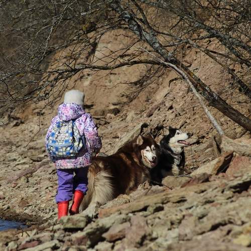 Photo #13728475