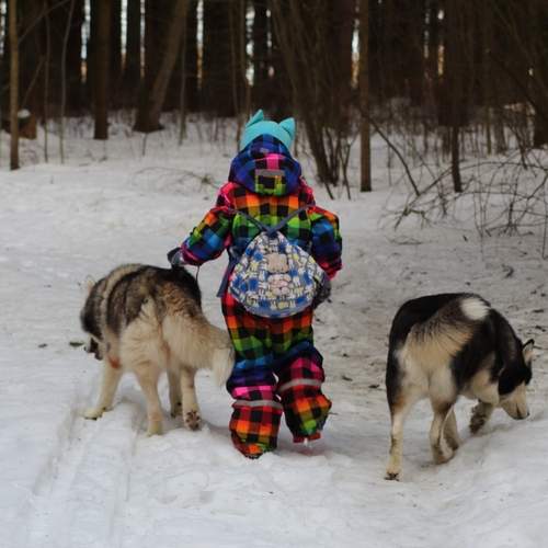 Photo #13728476